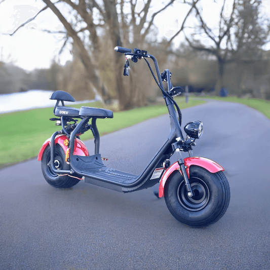 Citycoco homologué 2000w 60v 20AH