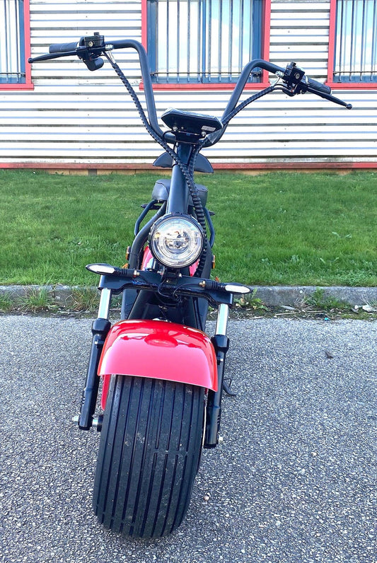 Citycoco homologué 2000w 60v 20AH