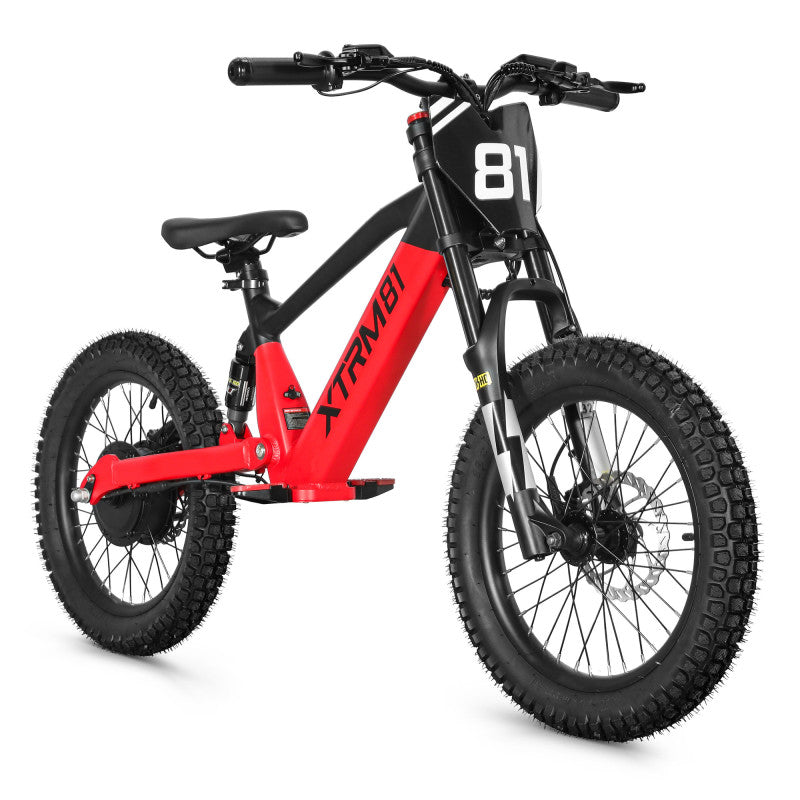 Draisienne électrique pour enfant 36V 500W DX 18