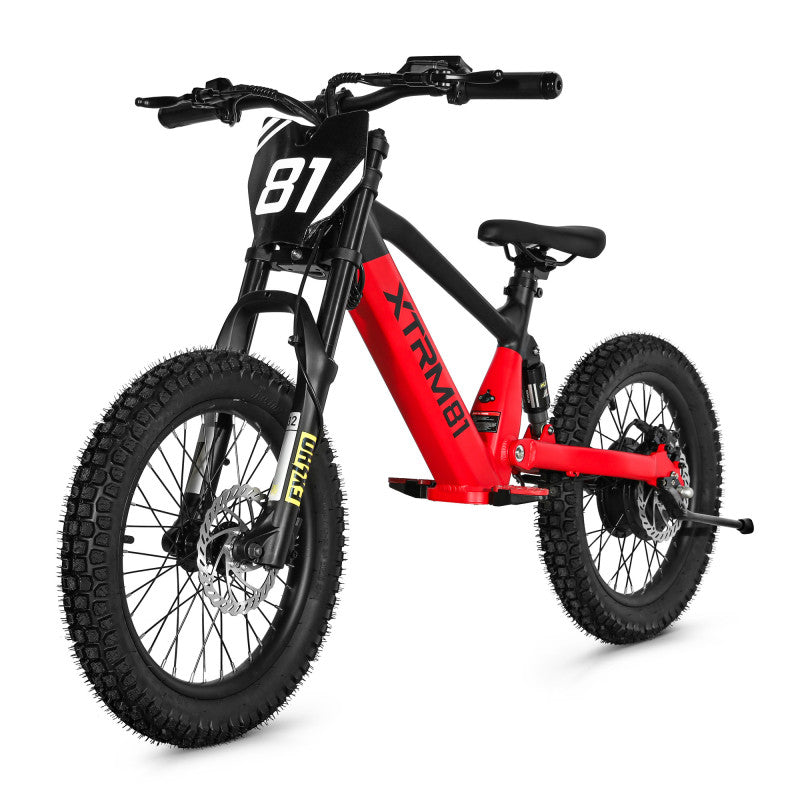 Draisienne électrique pour enfant 36V 500W DX 18